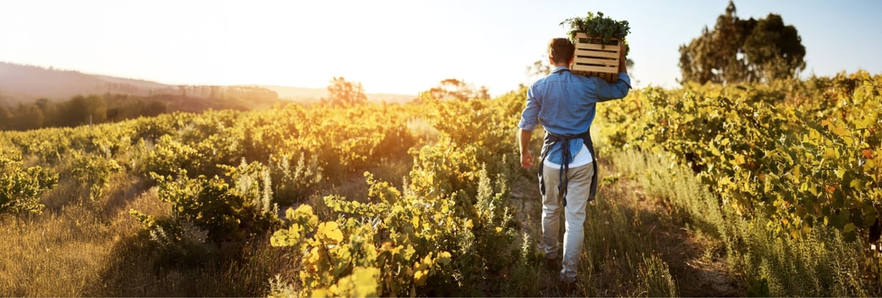 Coaching brengt leiderschapsteam Foodvalley weer in verbinding