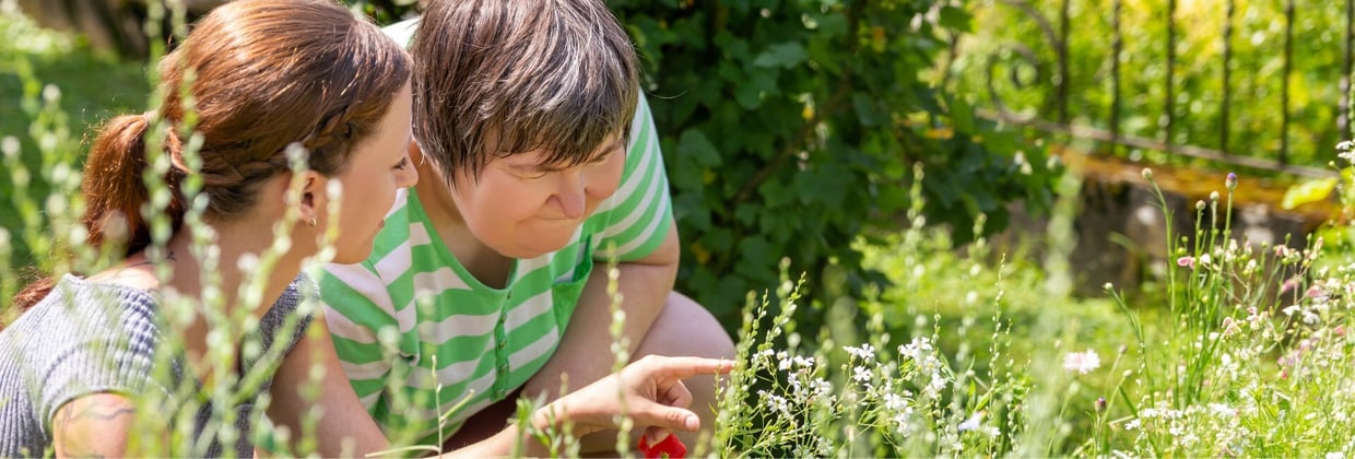 Herijking strategische koers De Passerel