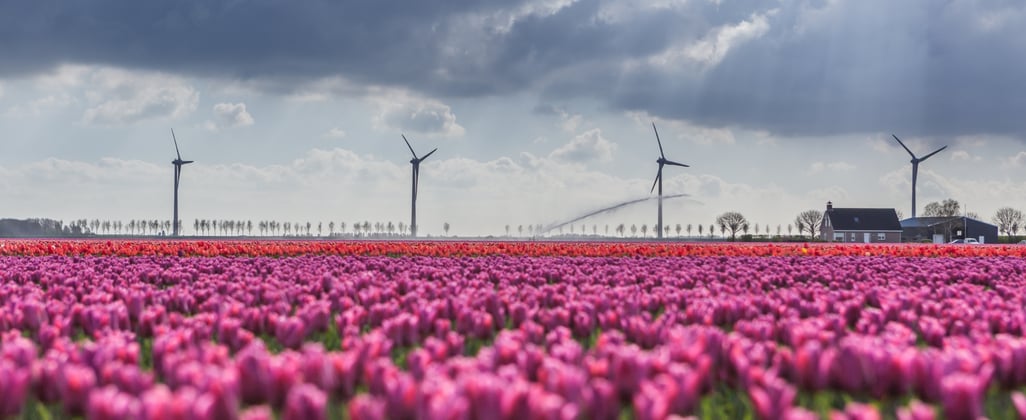 Publiek-private samenwerking brengt waterstofambities H2GO dichterbij