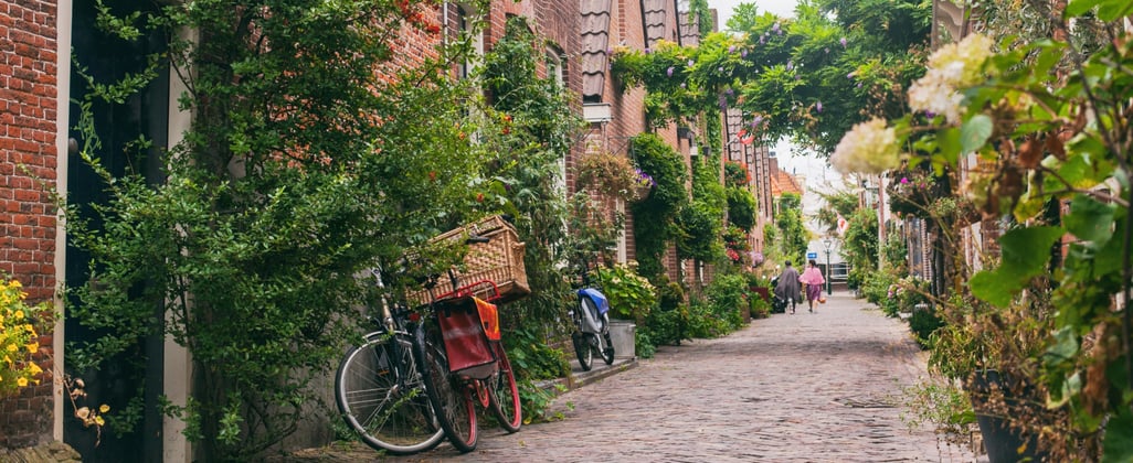 Meer samenhang stedelijke ontwikkeling Alkmaar door programmatische aanpak