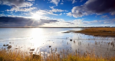 Afbeelding Weloverwogen marktbenaderingsstrategie geeft succesvolle contractering en uitvoering