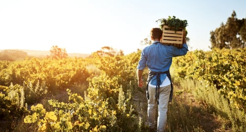 Coaching brengt leiderschapsteam Foodvalley weer in verbinding