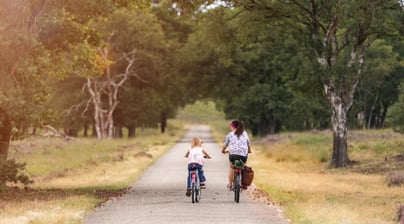 Afbeelding Versterken netwerkorganisatie door investeren in eigenaarschap