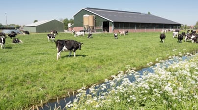 Afbeelding Programmasecretaris aanpak stikstof en duurzame veehouderij