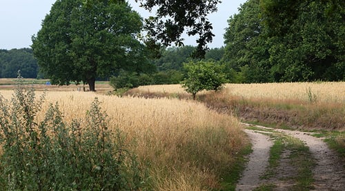 Eerlijke schadeafhandeling voor Natura 2000