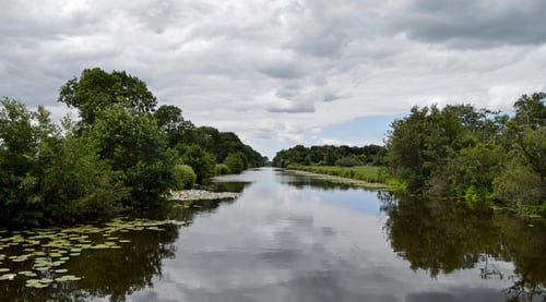 De Omgevingswet en de veranderopgave voor Waterschap Rivierenland