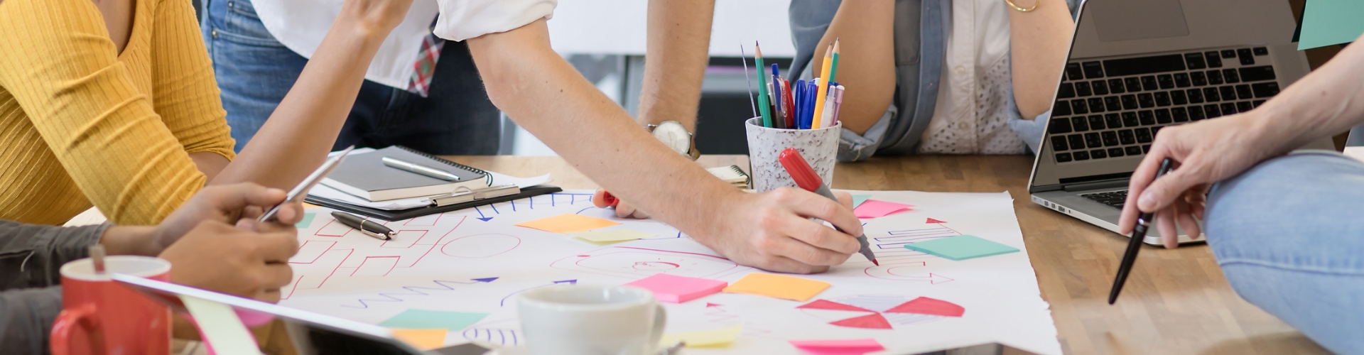 Begeleiden van een Programmastart-up