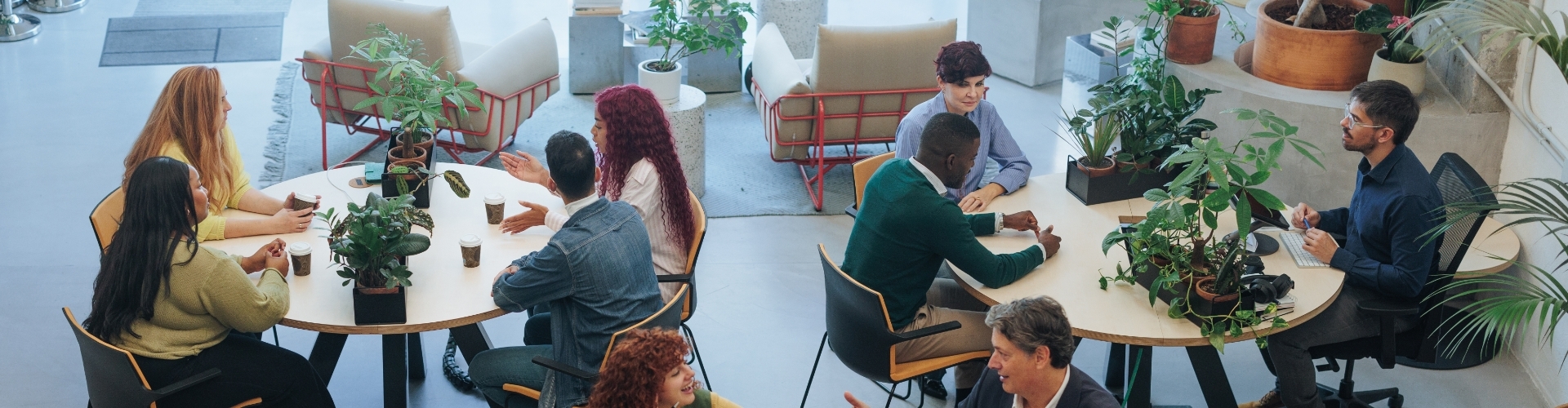 Nieuwe leergang Ontwikkeling van Organisaties