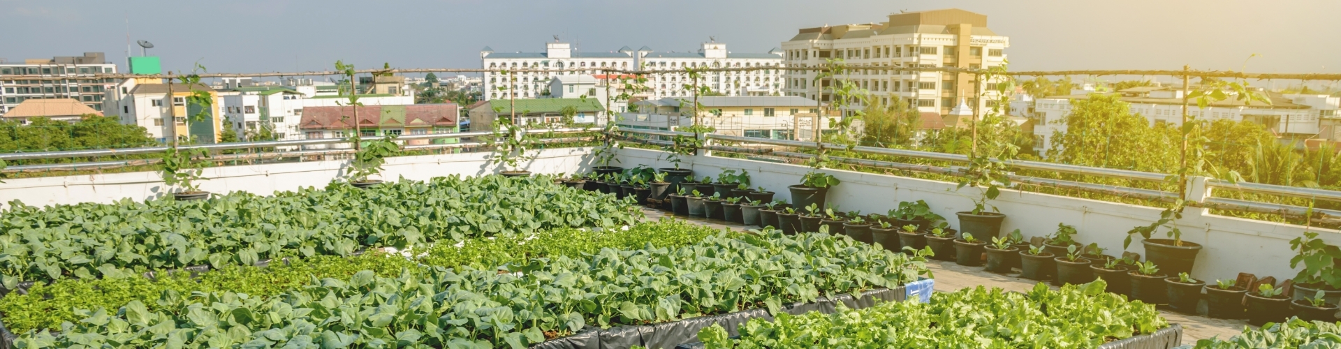 Transitie naar een circulaire economie