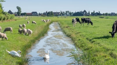 Afbeelding Samen bouwen aan een vitaal landelijk gebied