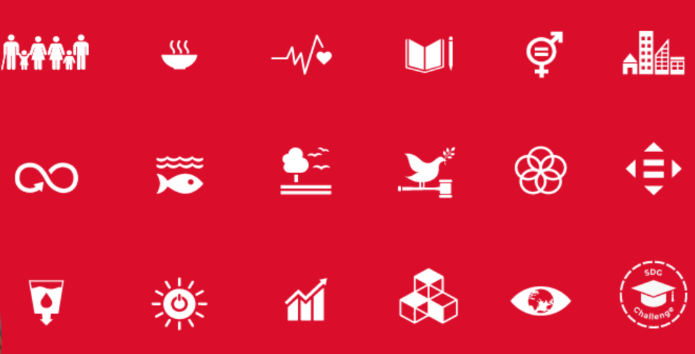 Beeld SDG challenge