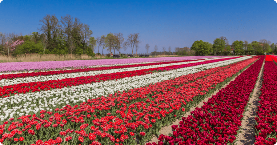 Fieldtrip landelijke gebiedstransformatie
