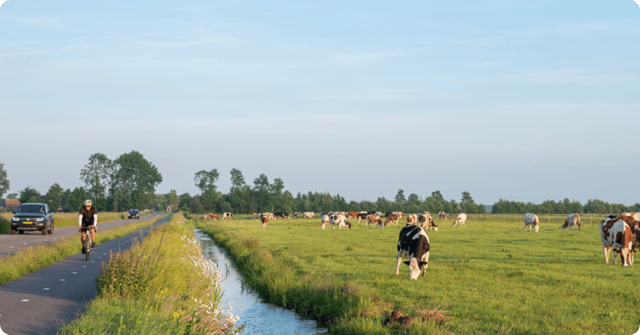 Blog-Fieldtrip landelijke gebiedstransformatie2