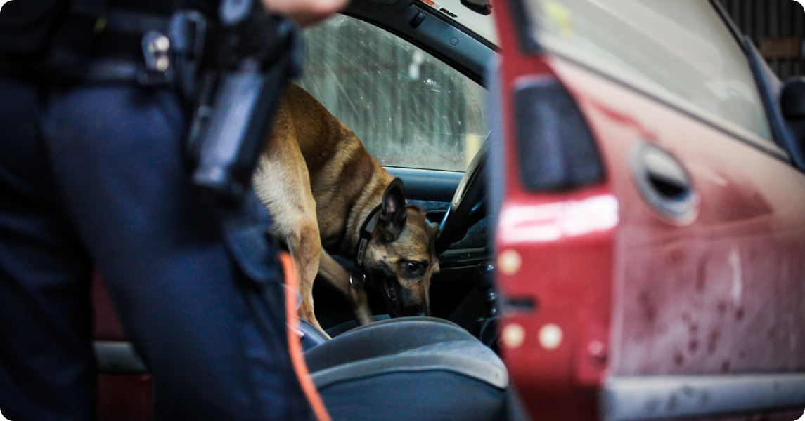 Het belang van betrokken moederorganisaties