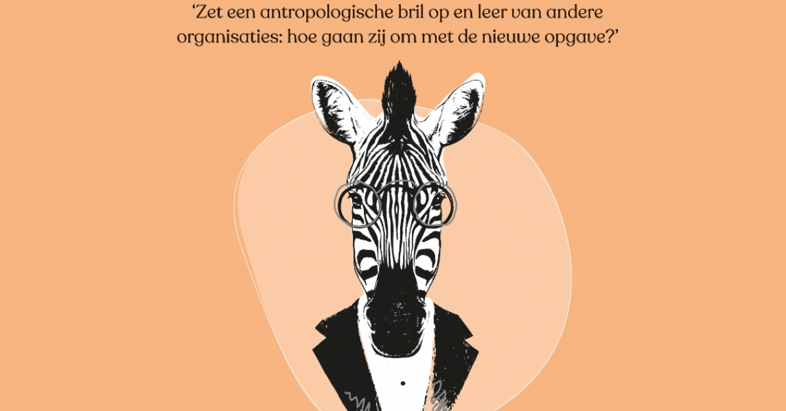 Blog-Kantoorsafari