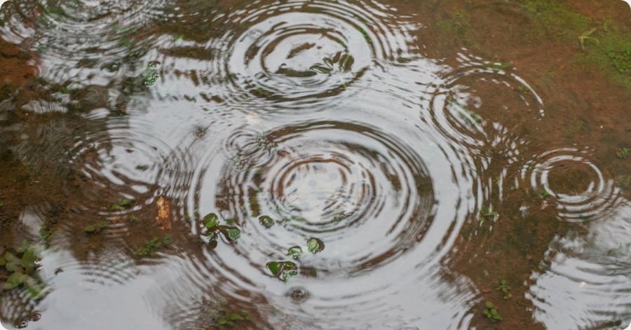 Blog-Micro-interventies zorgen voor kleine stappen met groot effect in de zorg