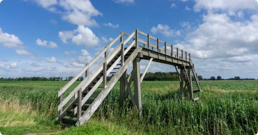 Sterk leiderschap vraagt om aandacht voor taal