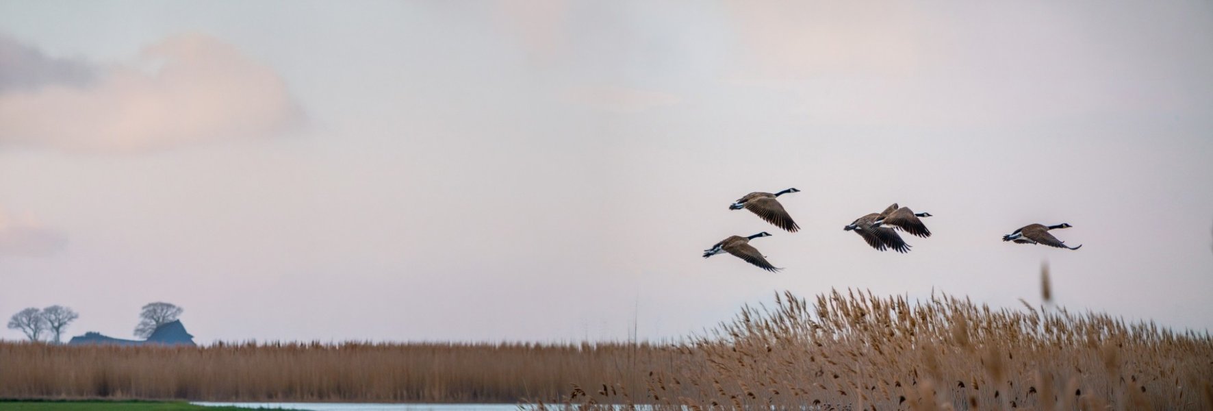 Sterk leiderschap vraagt om voorbeeldgedrag
