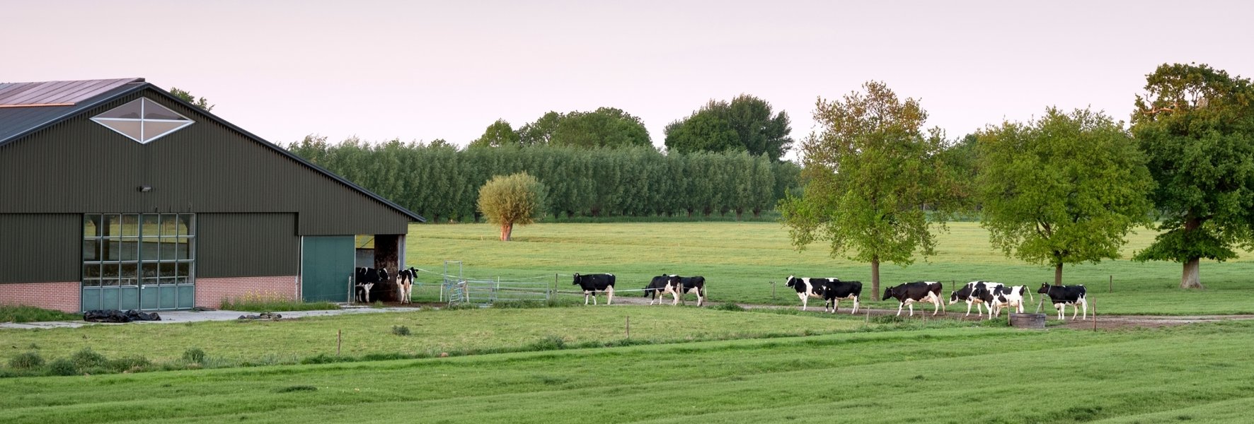 Hoe komt Nederland van het stikstofslot