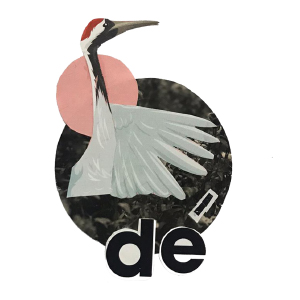 DE juiste vraag stellen