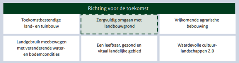 De structuur van de paragraaf Richting voor de toekomst