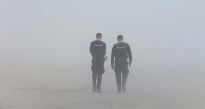 Afbeelding Heldere organisatiestructuren in aanpak tegen ondermijning