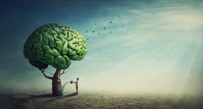 Afbeelding Hoe het brein leiderschap beïnvloed