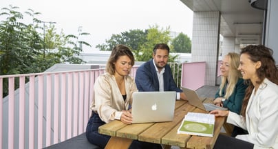 Afbeelding Optimale samenwerking programma Duurzaamheid en lijnorganisatie