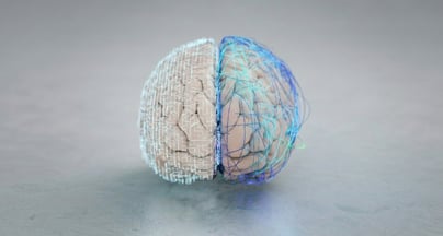 Afbeelding Leiders als versnellers of vertragers van digitale transformatie