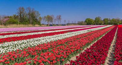 Afbeelding Fieldtrip landelijke gebiedstransformatie