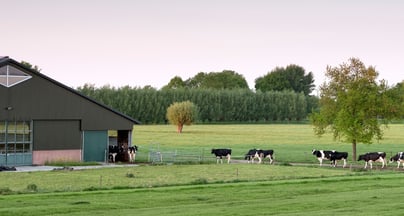 Afbeelding Hoe komt Nederland van het stikstofslot? Drie sleutels voor een uitvoerbare aanpak
