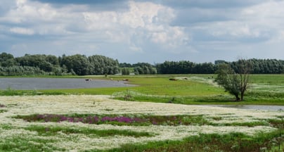 Afbeelding Koers naar een toekomstbestendig landelijk gebied