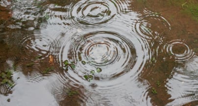Afbeelding Micro-interventies zorgen voor kleine stappen met groot effect in de zorg