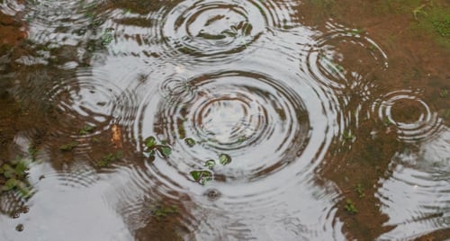 Micro-interventies zorgen voor kleine stappen met groot effect in de zorg