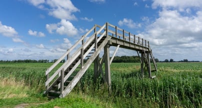 Afbeelding Sterk leiderschap vraagt om aandacht voor taal