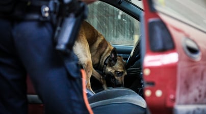 Afbeelding Het belang van betrokken moederorganisaties voor het slagen van een samenwerking
