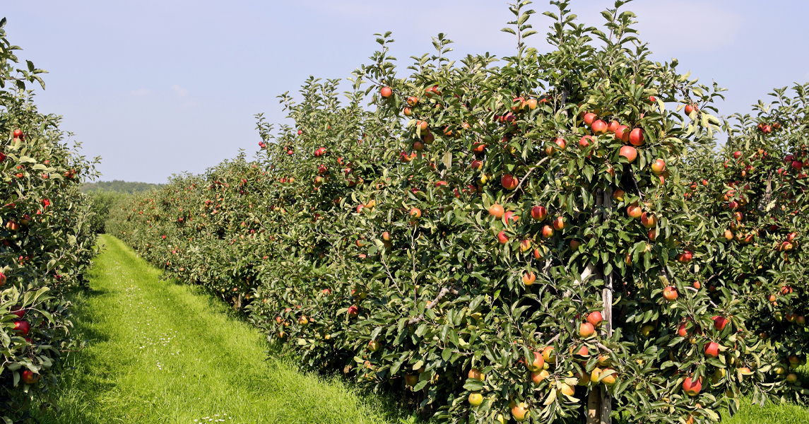 Hoe pak je ondermijning in het buitengebied aan? Mét boeren natuurlijk!