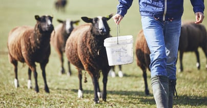 Afbeelding Zeven factoren die invloed hebben op de meldingsbereidheid van vermoedens bij ondermijning
