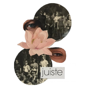 de JUISTE vraag stellen2