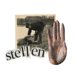 de juiste vraag STELLEN4