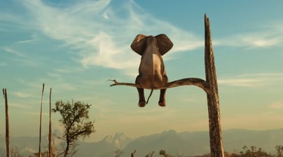 Afbeelding Gedrag veranderen om innovaties in je bedrijf te laten slagen, hoe maak je een switch?