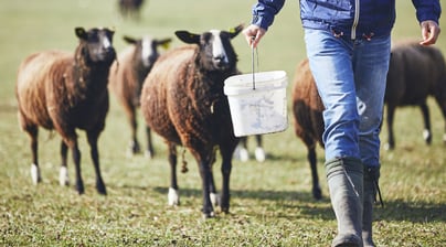 Afbeelding Zeven factoren die invloed hebben op de meldingsbereidheid van vermoedens bij ondermijning