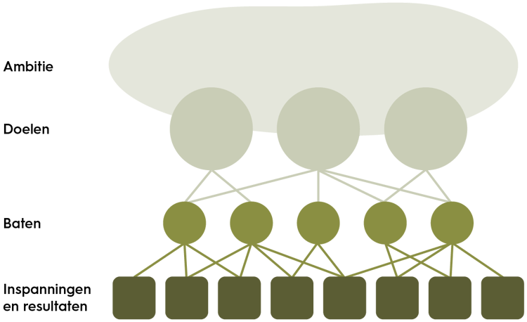 Doelen-Inspanningen-Netwerk voorbeeld