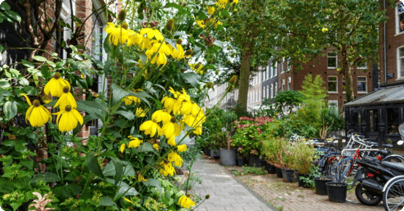 Afbeelding De mobiliteitstransitie als aanjager van onze openbare ruimte