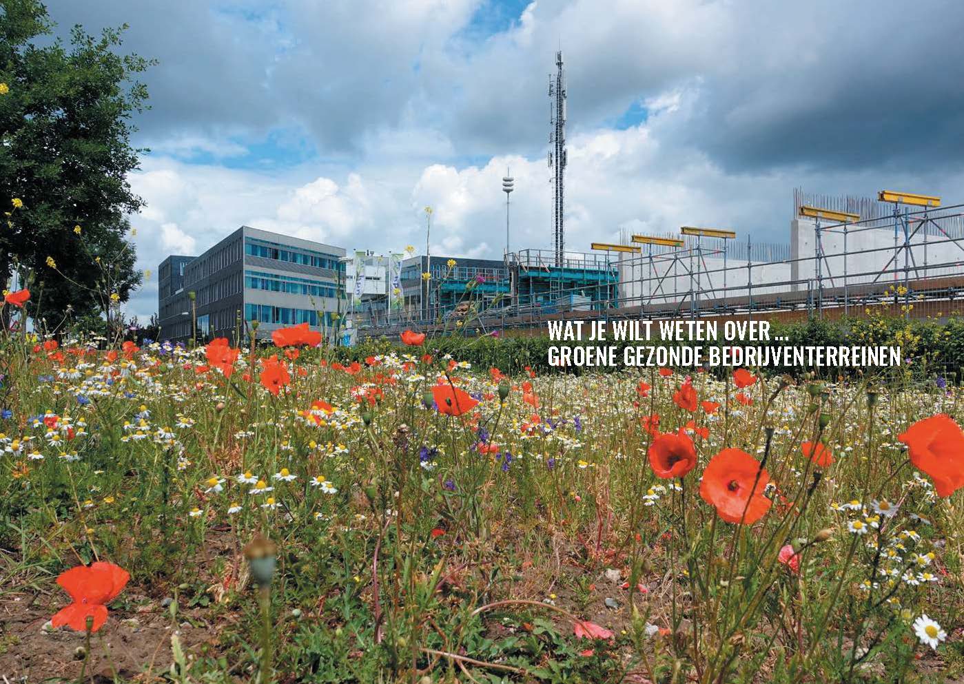 Groene-gezonde-bedrijventerreinen-1_Pagina_02