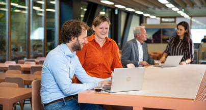 Afbeelding Essenties van programm­amanagement
