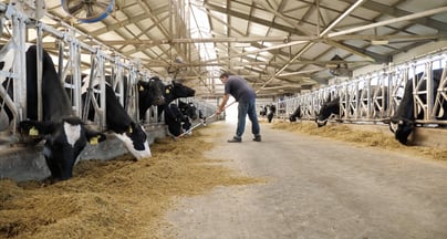 Afbeelding Grip op transformatie in de Peel: van ambitie naar actie