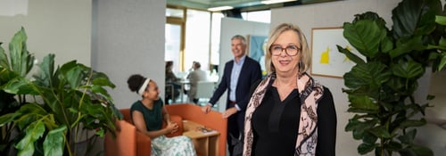 E-learning Strategisch Omgevingsmanagement