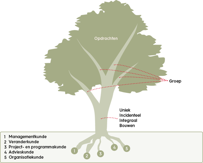 organisatiekunde-de-boom-methode