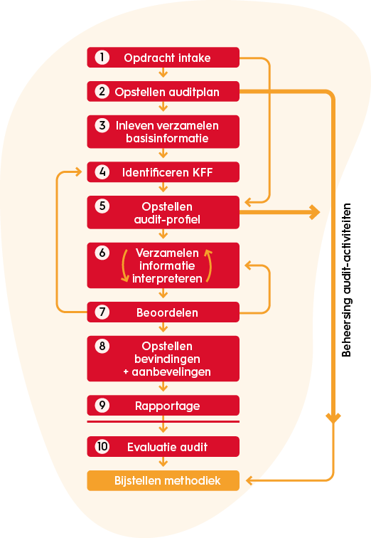 projectmanagement-project-audit